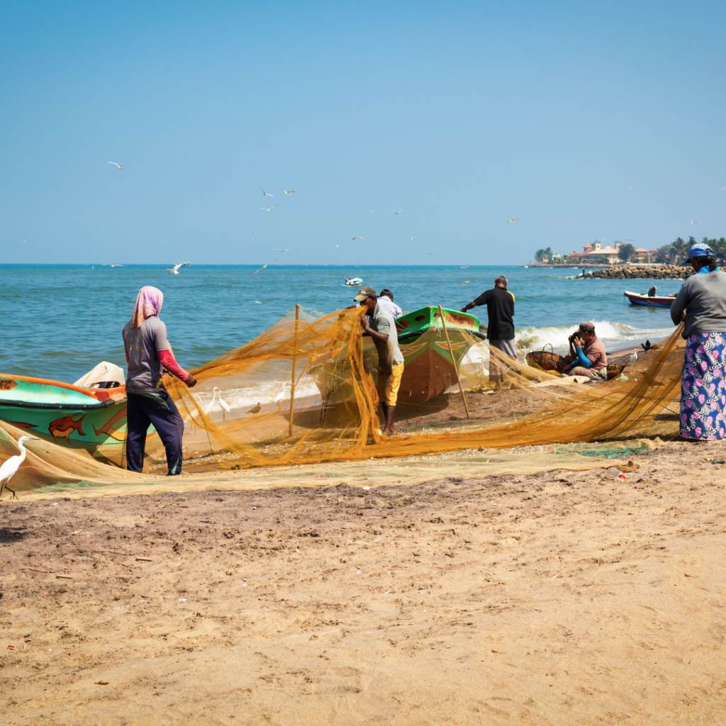 Fishermen in Negombo beach