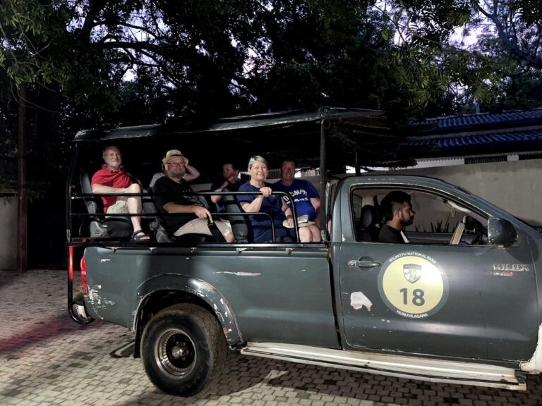 Jeep safari in Wilpattu National Park