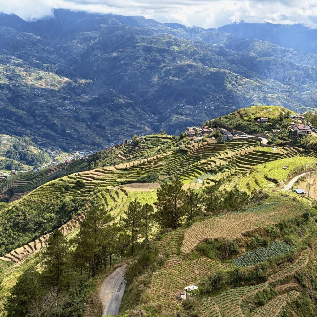the cordillera