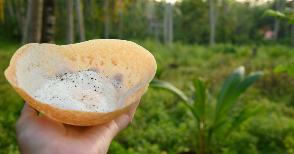 Egg hopper