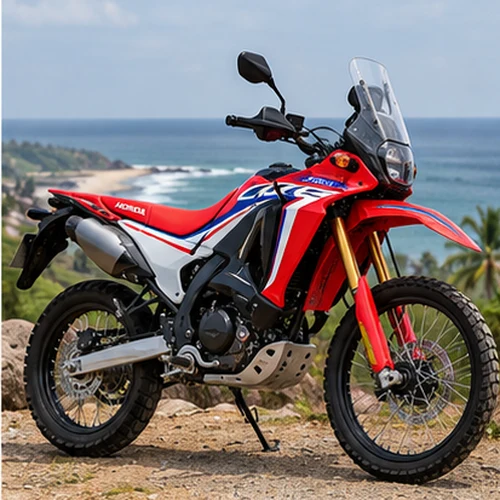 Honda CRF 250 Rally Rental