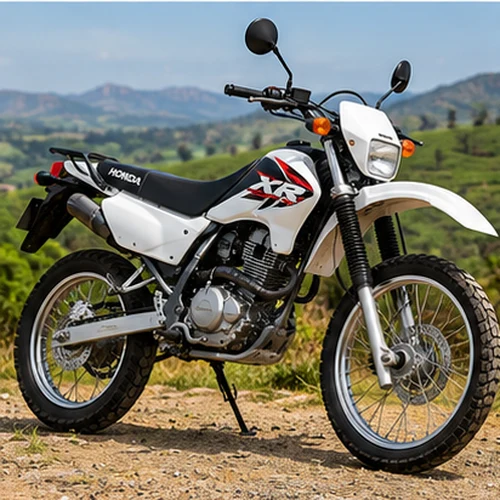 Honda XR 250 Rental