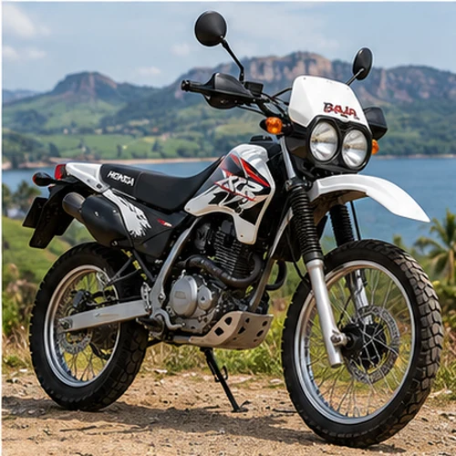 Honda XR Baja 250 Rental